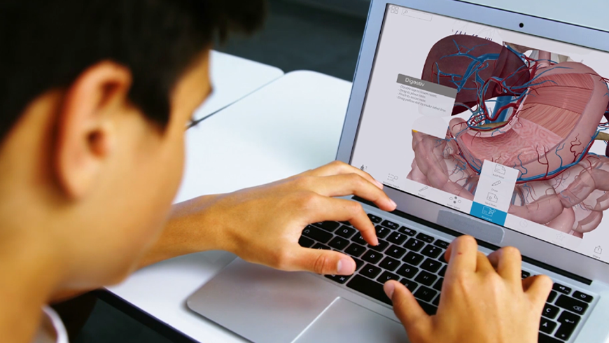 Anatomy online image