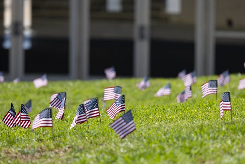 small American flags placed on a grassy lawn 