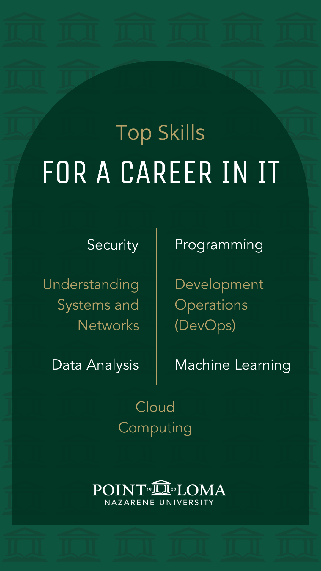 top skills for a career in IT: security, understanding systems and networks, data analysis, cloud computing, programming, development operations (DevOps), machine learning