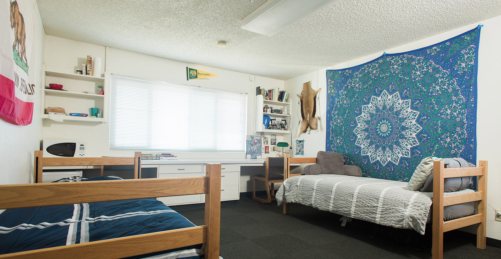 A spacious room for two in Wiley Hall.