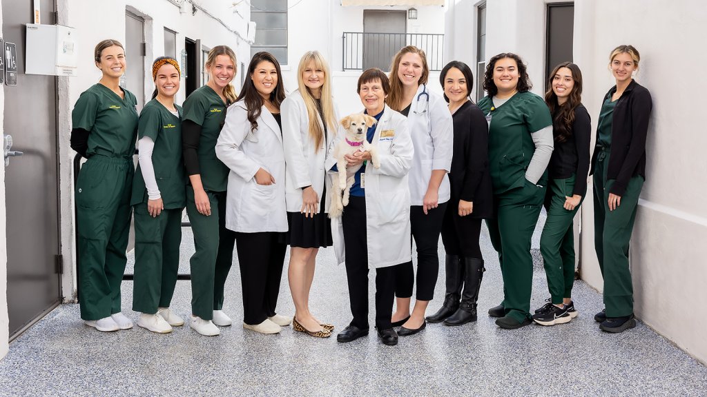 PLNU students and faculty pose for a picture together at the Health Promotion Center.
