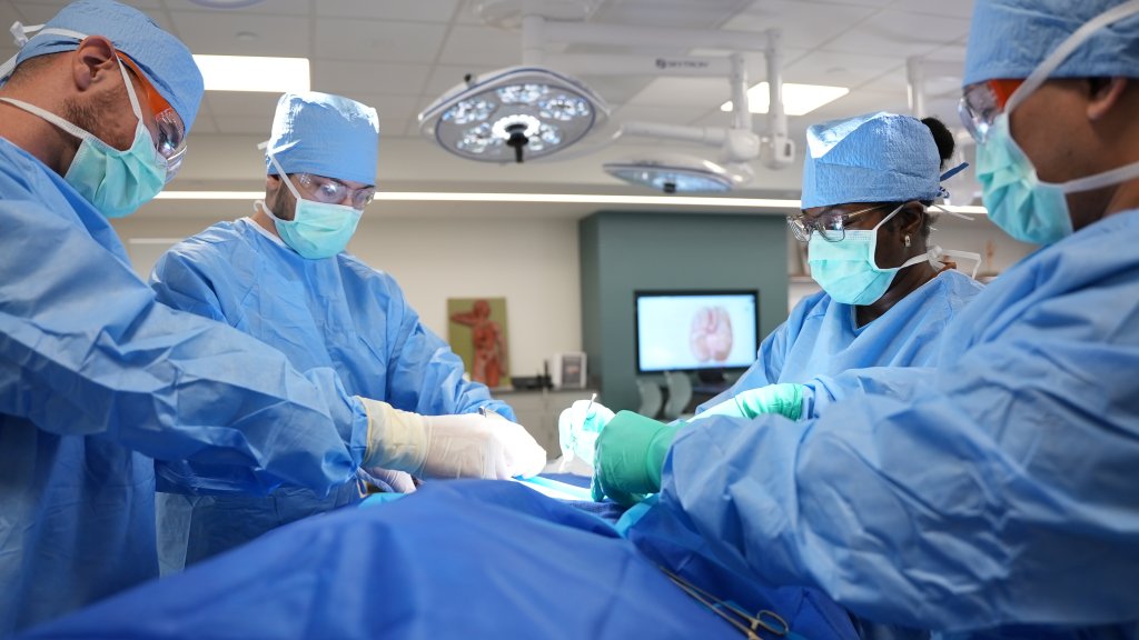 cropped ali homepage 