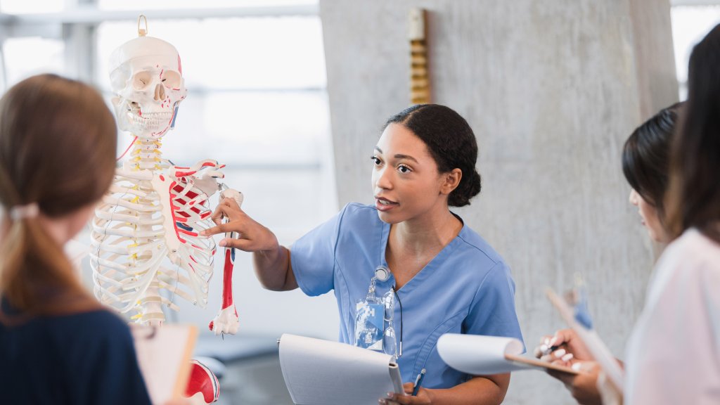 A women with a skeleton model teaches anatomy