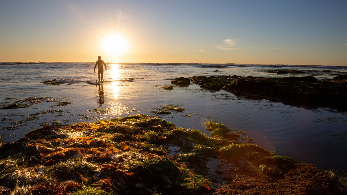 Silhouette of student surfer at sunset.