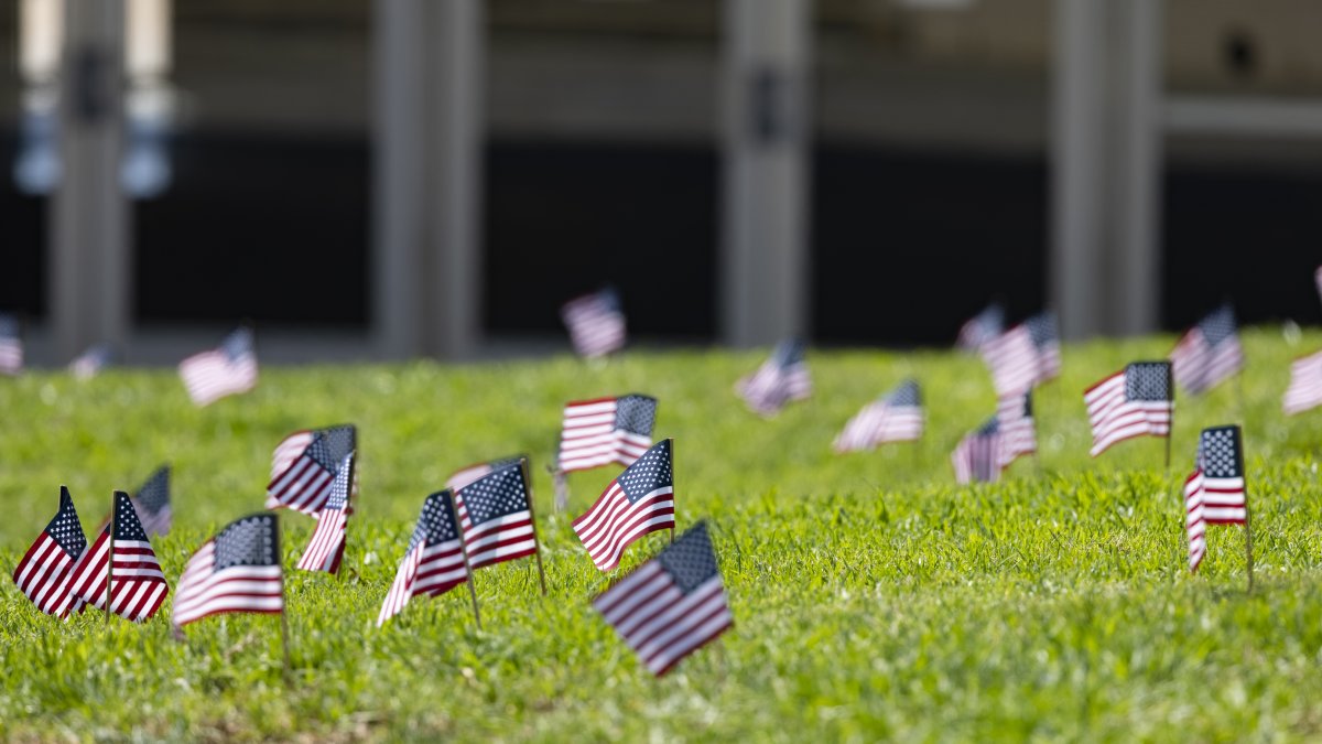 small American flags placed on a grassy lawn 