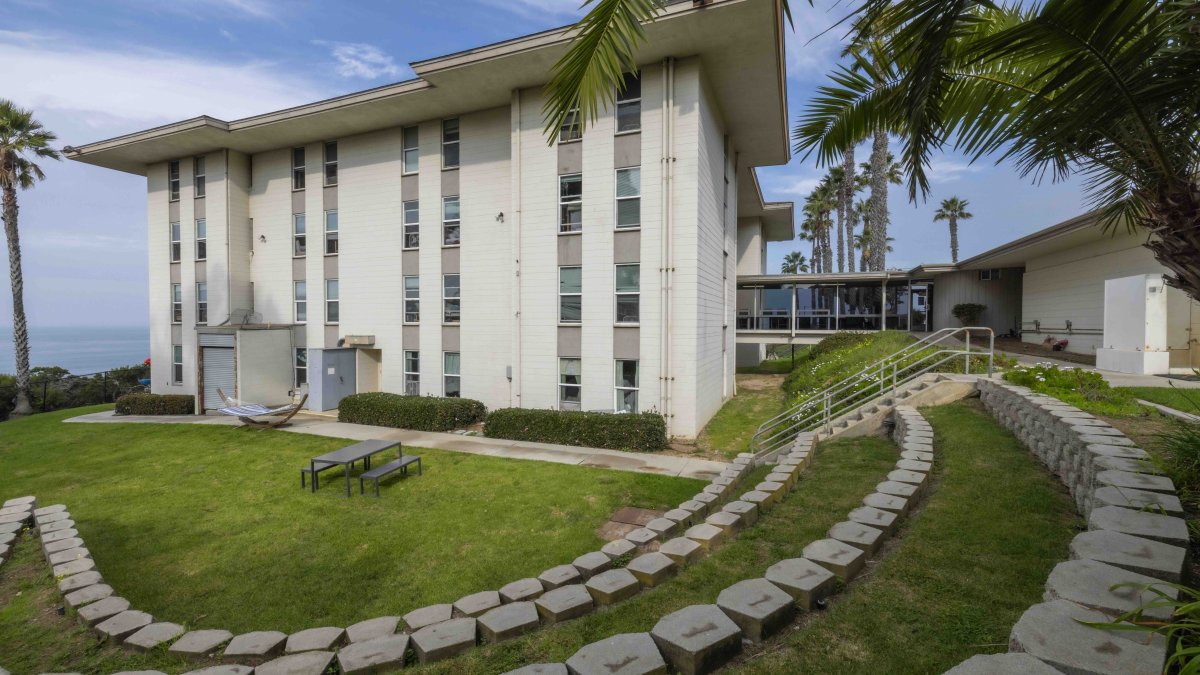 Outdoor space in Young Hall.