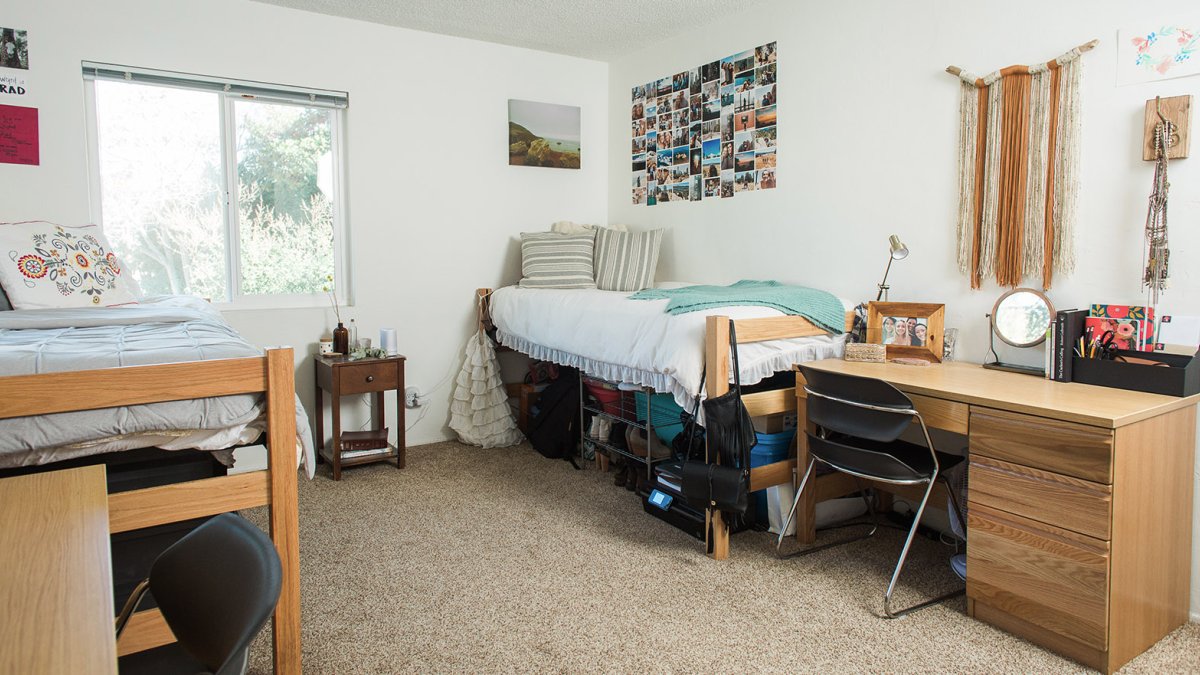 A brightly decorated Colony Apartment room.