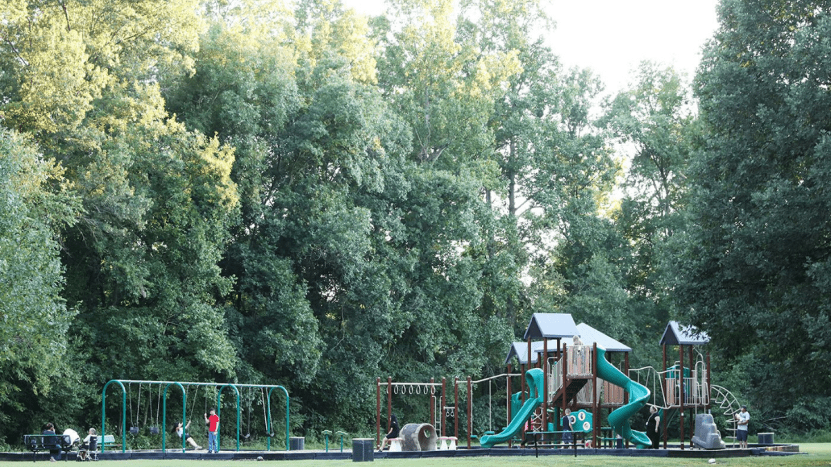 PArk surrounded by trees