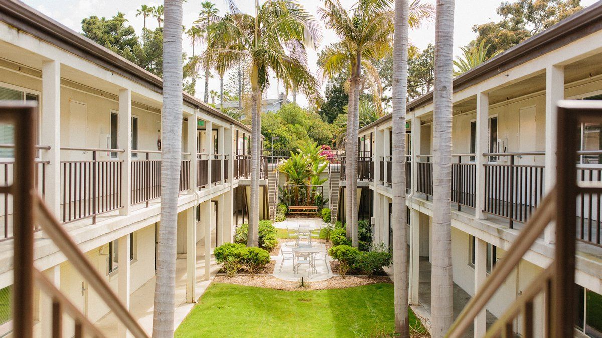 The center courtyard of Finch Hall with palm trees and grassy lounging space.