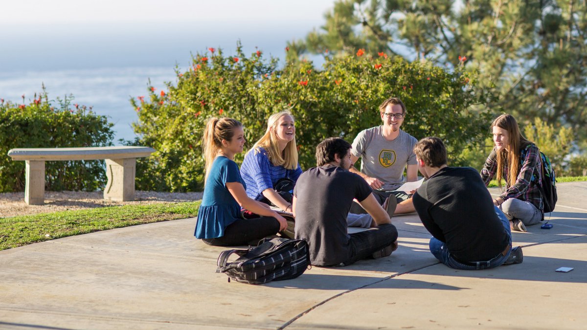 Group of students meeting with Dr. Brandon Swayer on the ground of McCullough Park