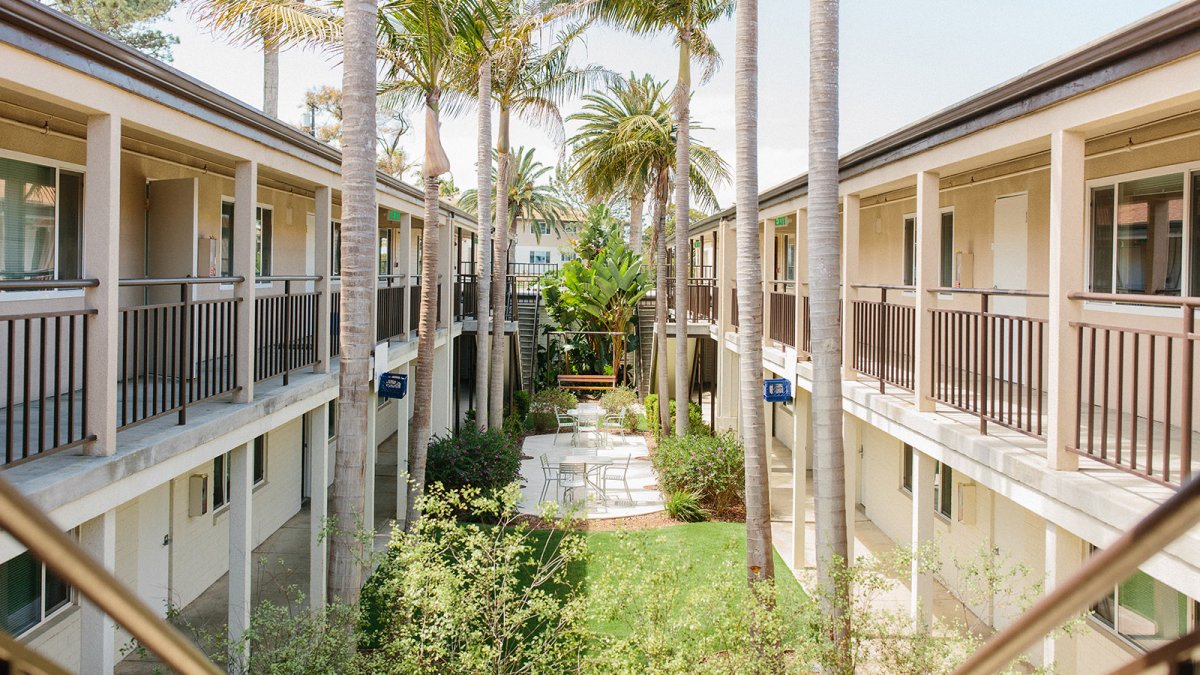 Wiley Hall's center courtyard with palm trees and open grass space.