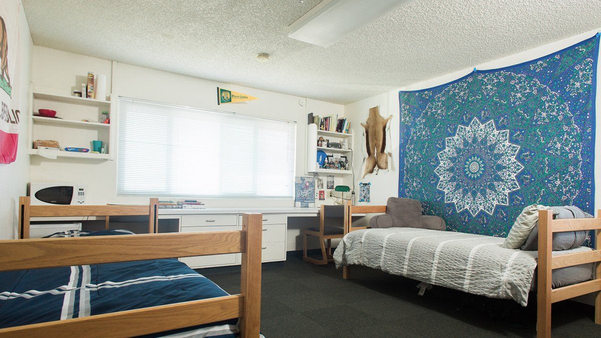 A spacious room for two in Wiley Hall.