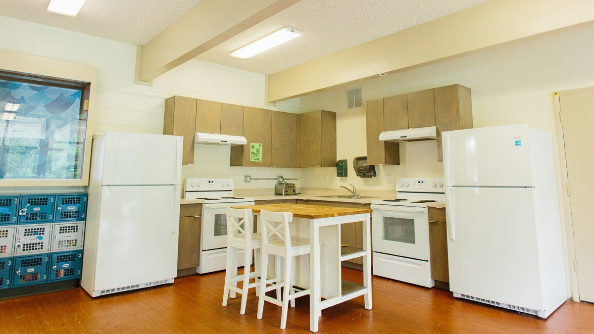 The shared kitchen area in Young Hall is a large space for cooking or preparing meals.