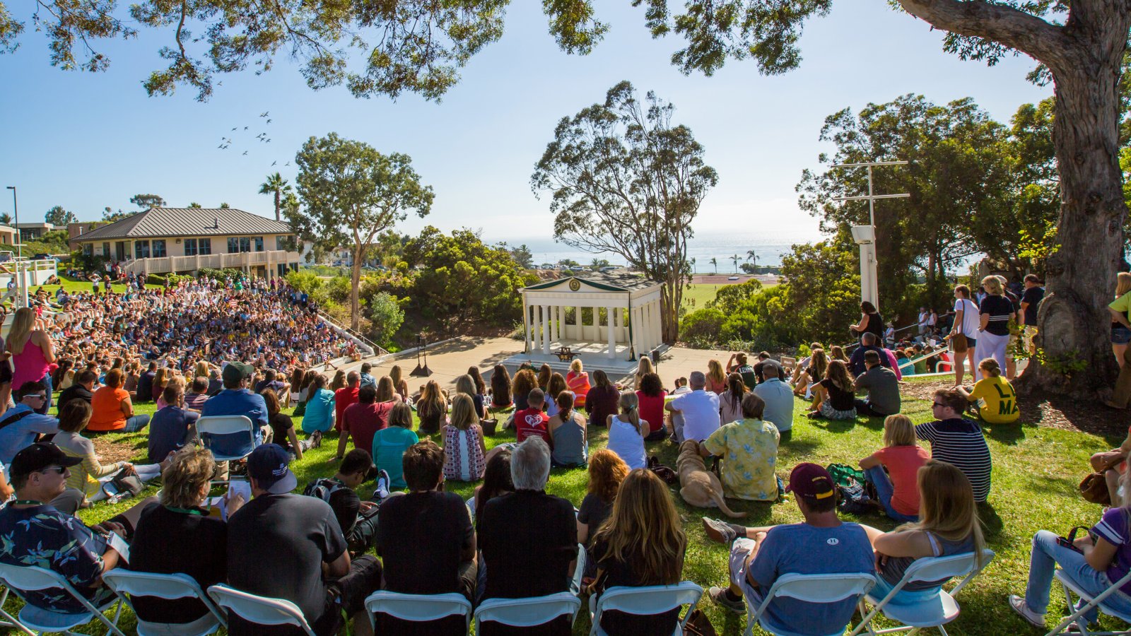 New Student Orientation