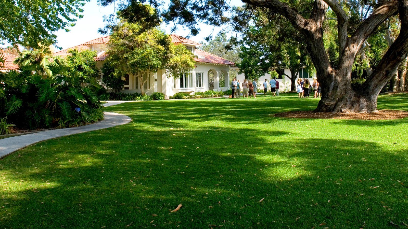 People gather outside on the lawn of the Alumni House