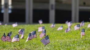 small American flags placed on a grassy lawn 