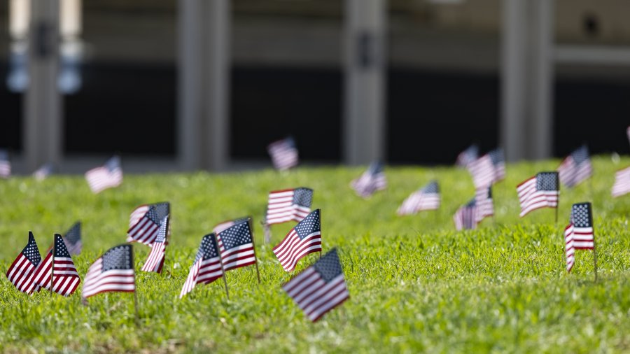 small American flags placed on a grassy lawn 