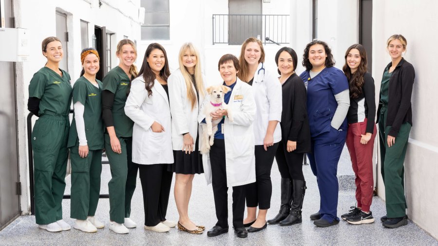 The Health Promotion Center staff group photo