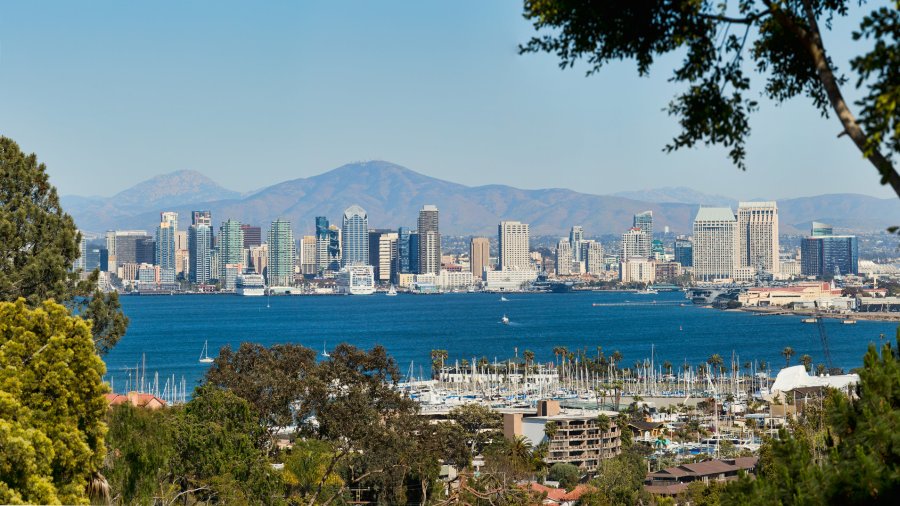 San Diego Skyline