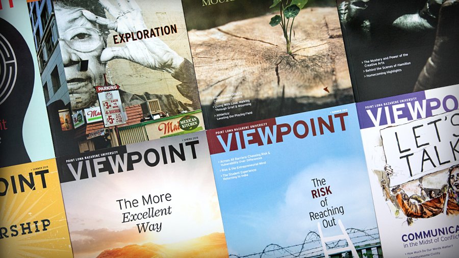 Covers from different Viewpoint editions lined up next to each other form a collage.