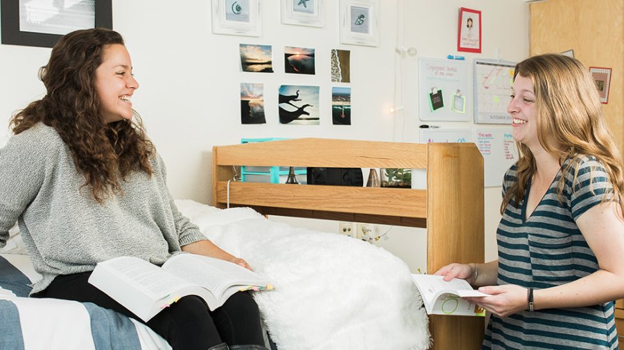 Two students study in their Nease Hall dorm room.