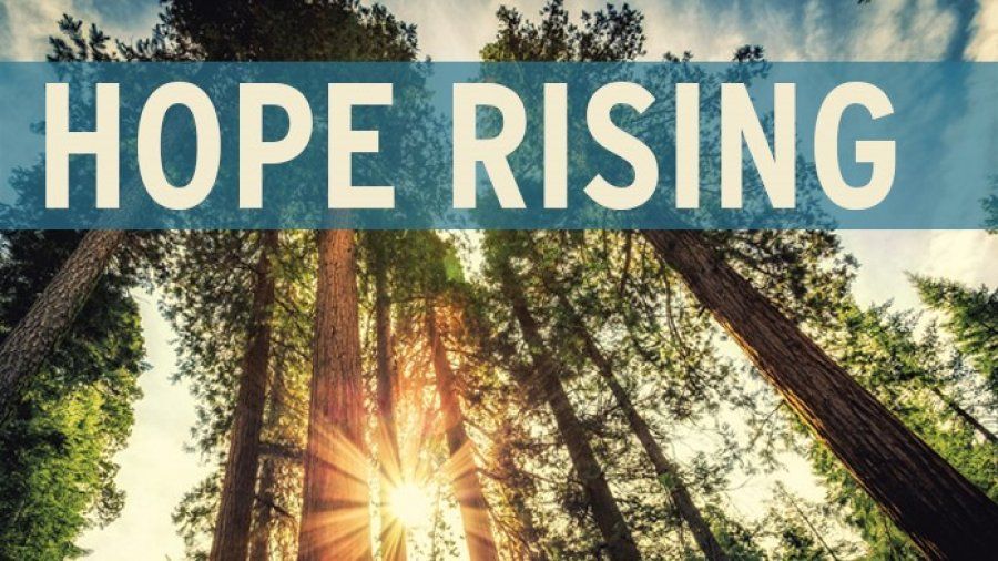 Hope Rising 2019