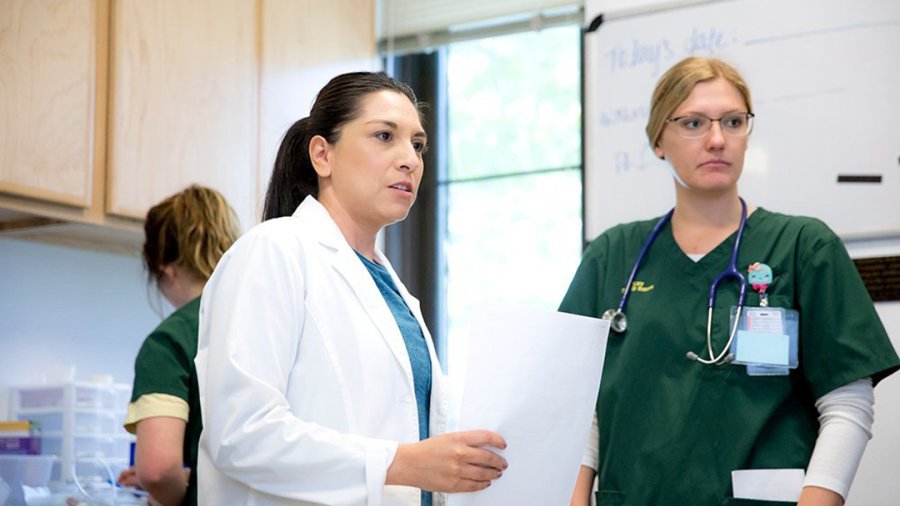 Many nurses are going back to earn their DNPs, pictured above is a nurse in scrubs and a DNP professional in their lab coat. 