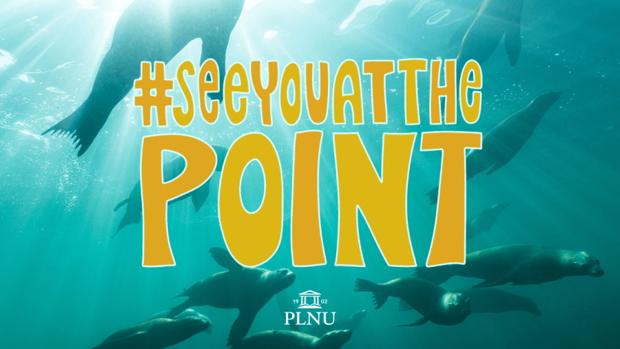 See You At The Point Desktop Wallpaper with Sea Lions