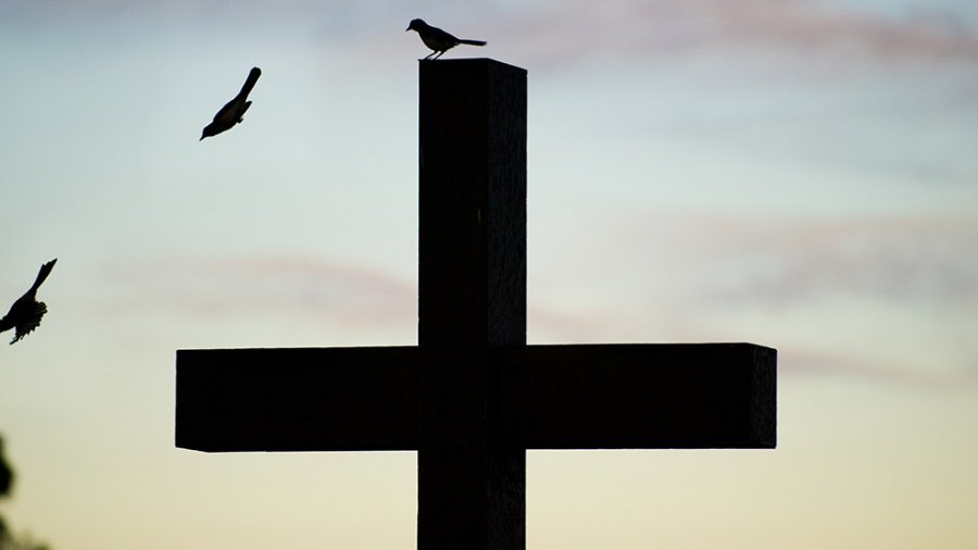 Three birds and a cross are backlit by a sunset