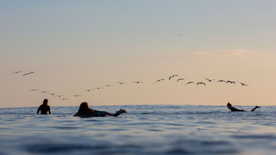 Before You Graduate: The Ultimate San Diego Bucket List PLNU