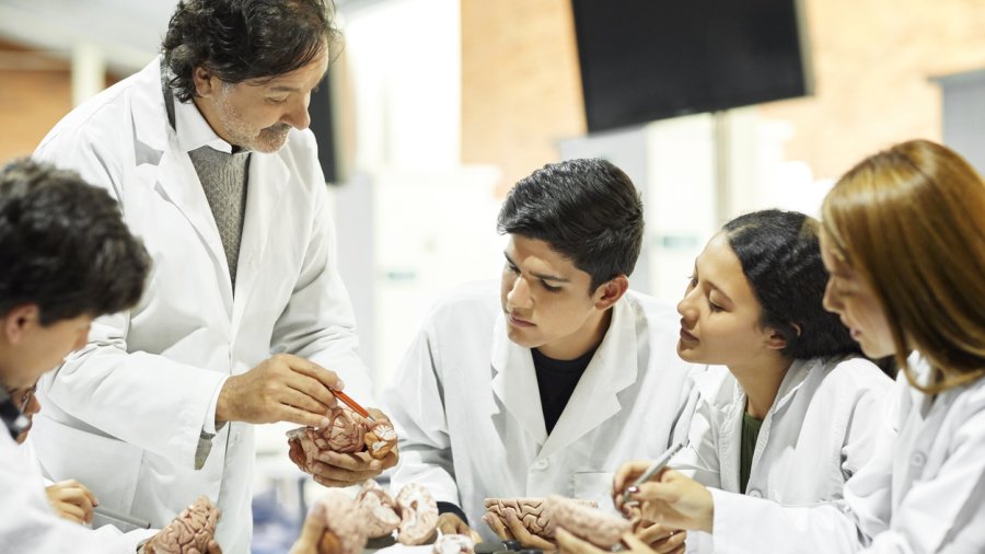 Anatomy Lab image