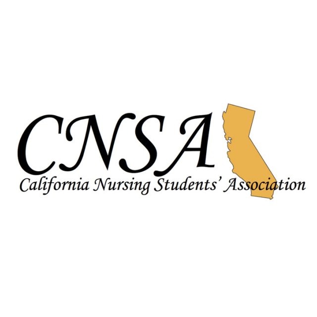 CNSA logo