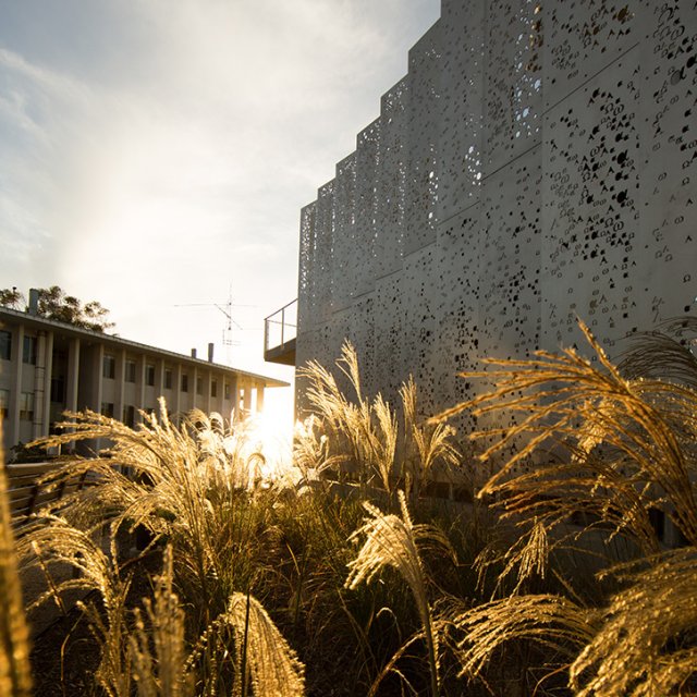 A sunset golden hour view of the PLNU science complex.