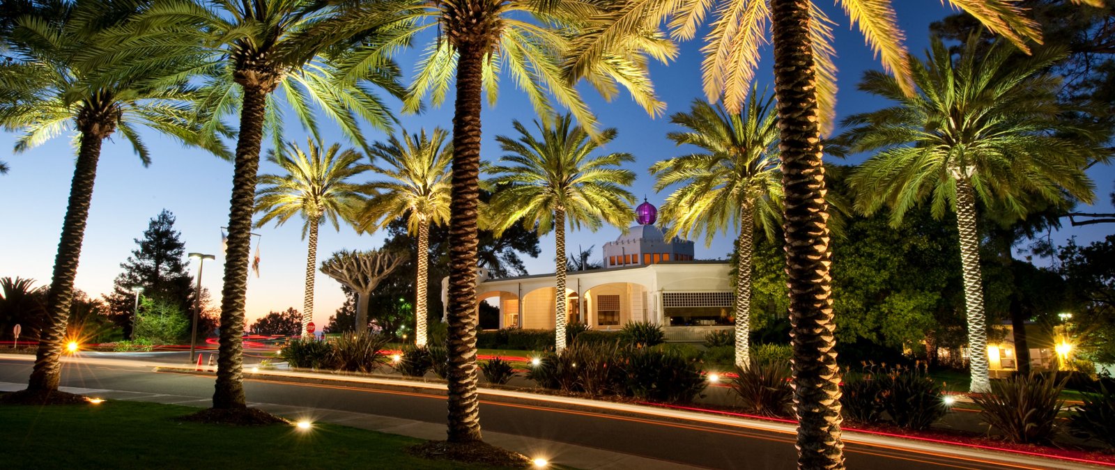 Mieras Hall at Dusk with Palm Trees in the Foreground