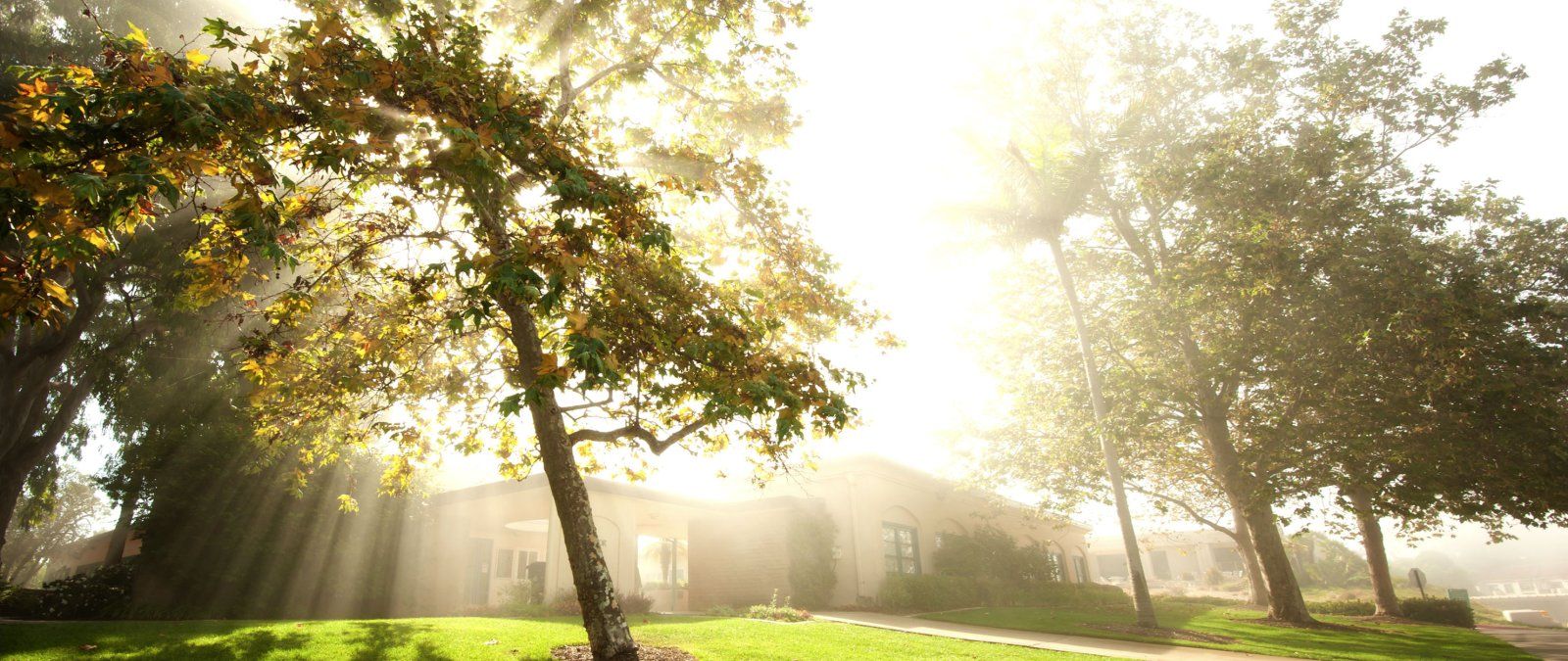 Morning sun streams in by Taylor Hall.