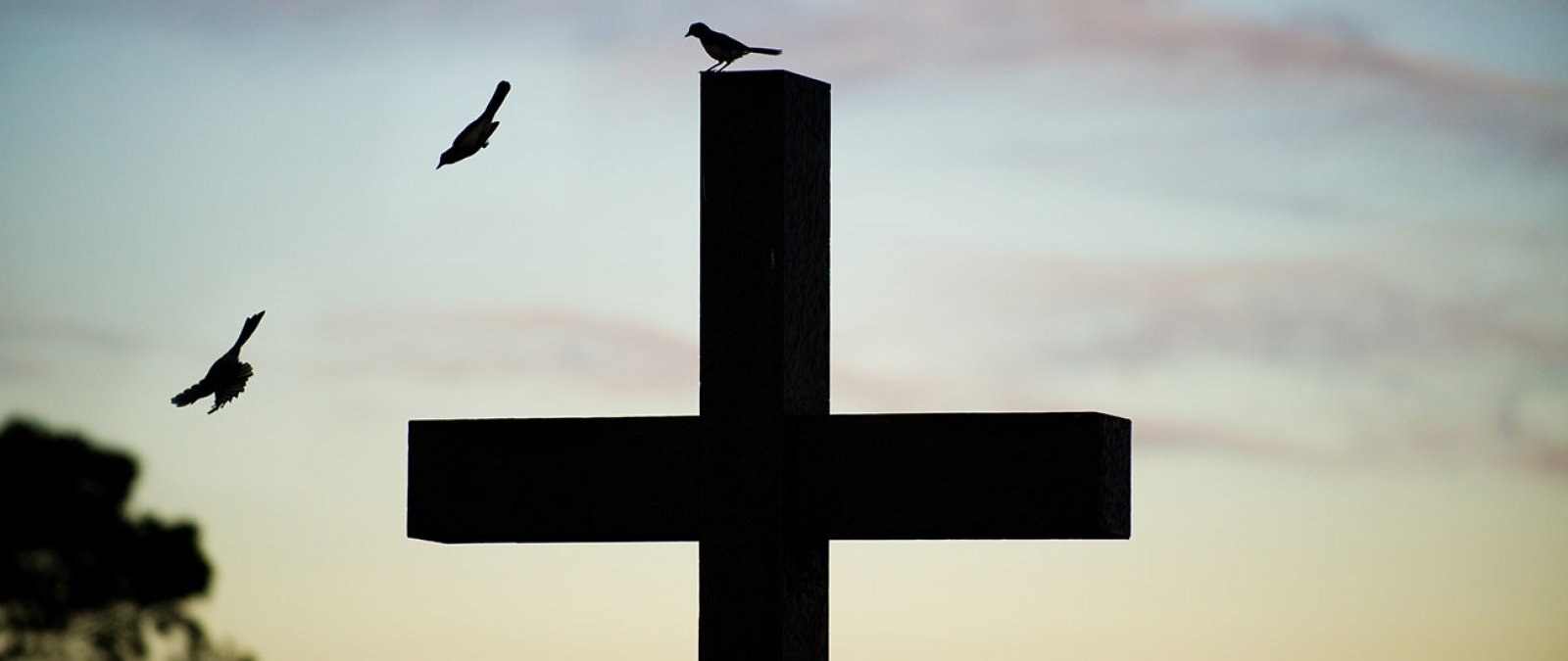 Three birds and a cross are backlit by a sunset