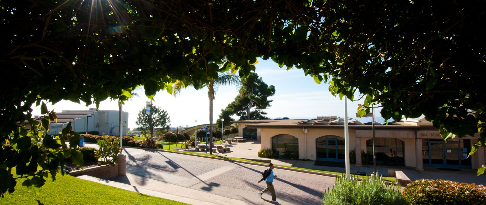 bond academic center 