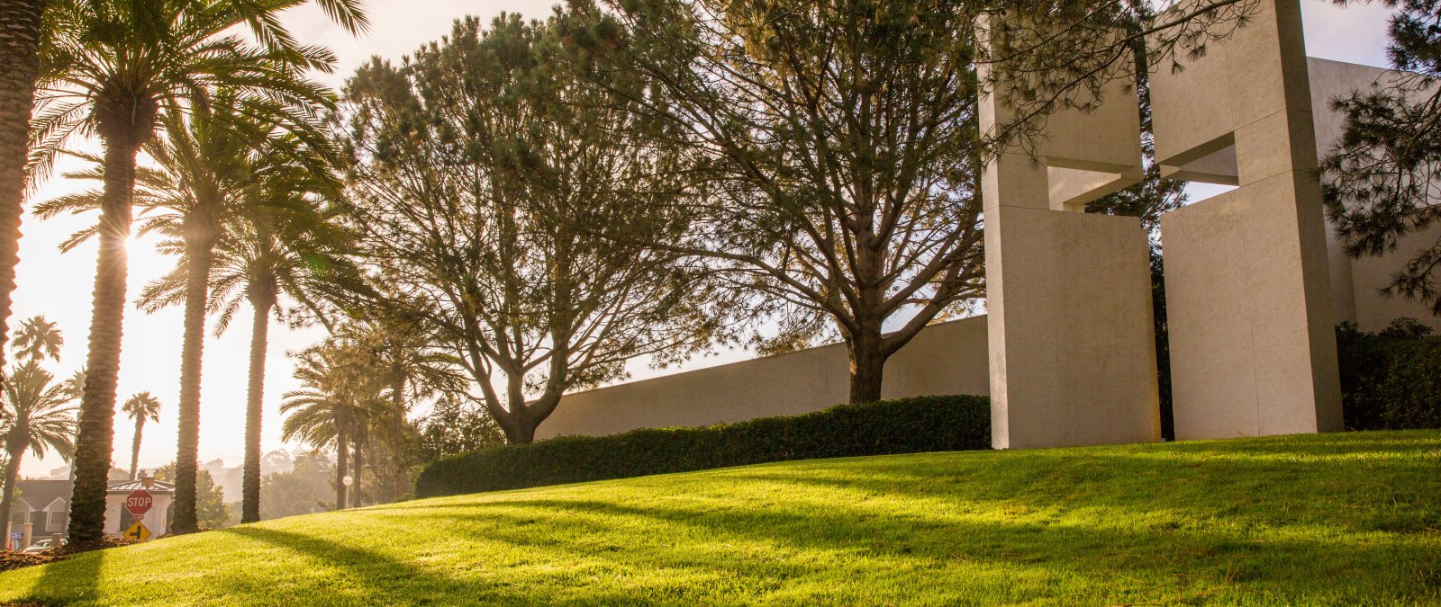 brown chapel surrounded by trees and palm trees