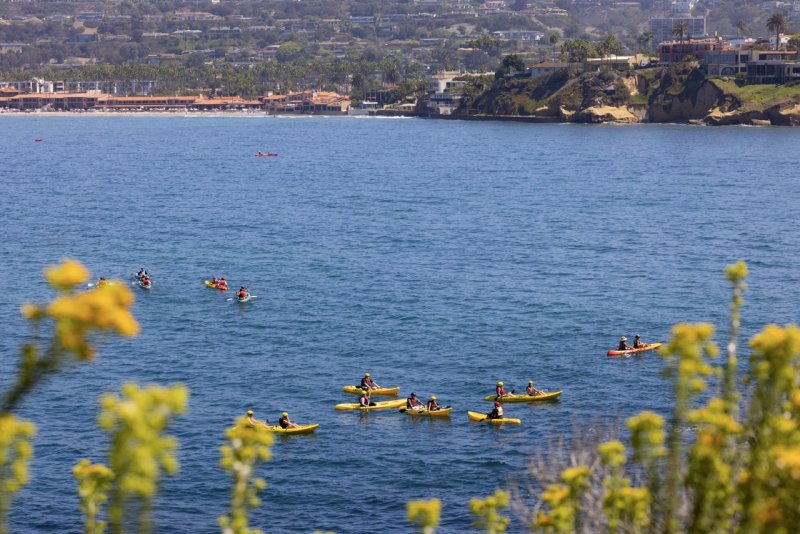 A group of kayakers in La Jolla Shores.