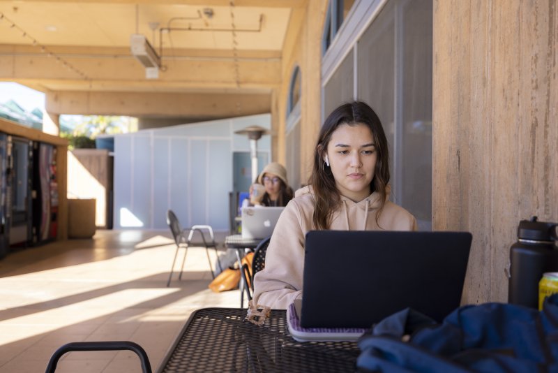 Online Student