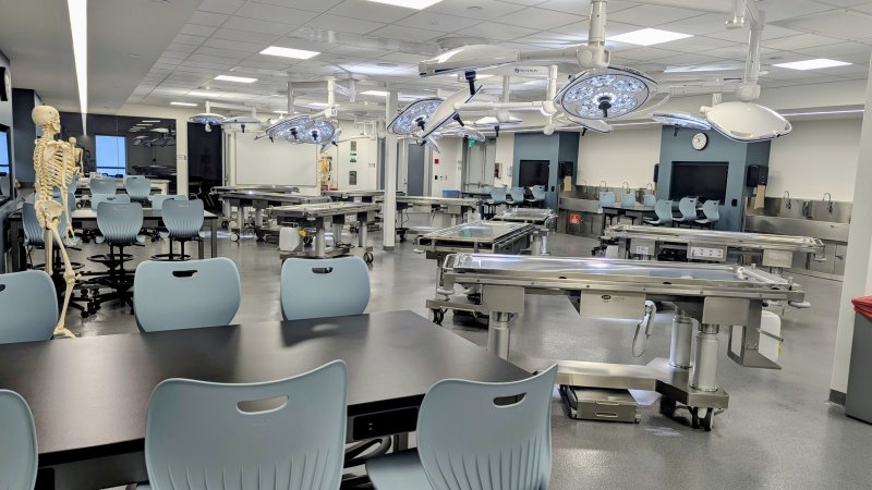 Surgical Anatomy Suite