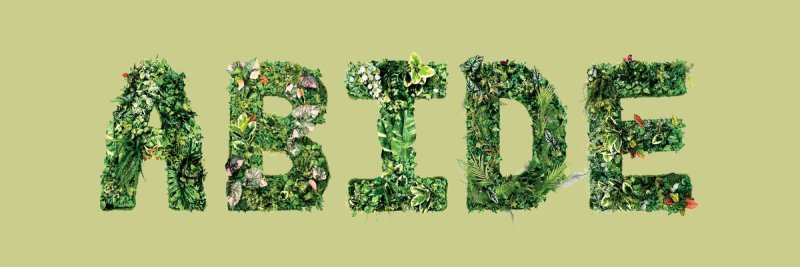 The word 'abide' is visualized with green gardens made out of its letters against a soft green background.