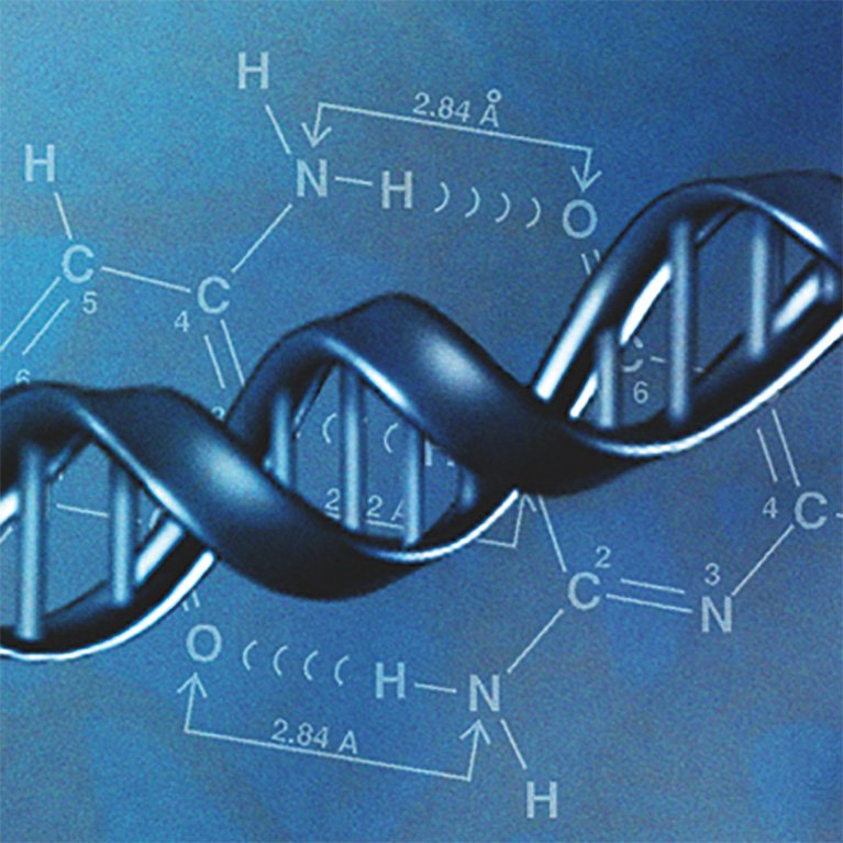 Dr. Lundblad DNA