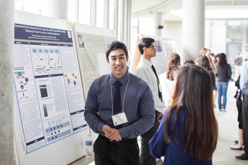 Student researcher discusses his scientific poster with an attendee during an academic research presentation.
