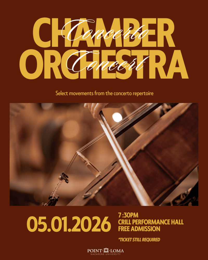poster with text "chamber orchestra concerto concert" with a picture of cello in the middle