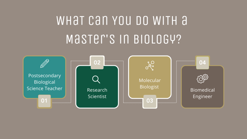 What can you do with a Master's in Biology? Postsecondary Biological Science Teacher, Research Scientist, Molecular Biologist, Biomedical Engineer