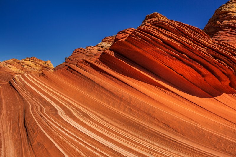 Arizona Desert Photo