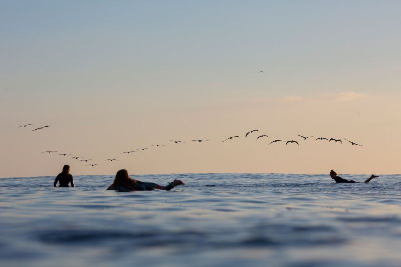 3 people laying on their surfboards in the ocean while a line of birds fly overhead