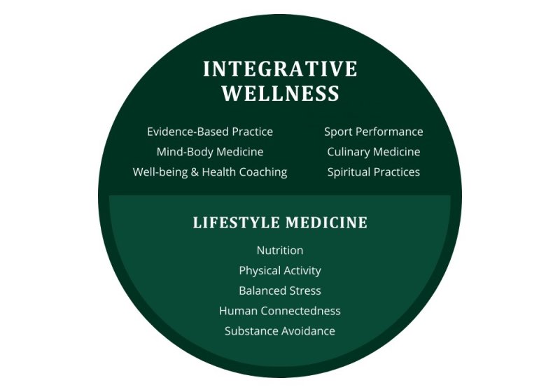 Components of Lifestyle Medicine apart of Integrative Wellness