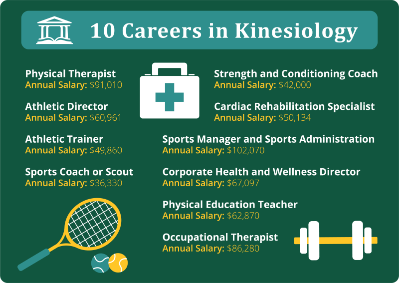 10 careers in Kinesiology. Physical Therapist, Athletic Director, Athletic Trainer, Sports Coach or Scout, Strength and Conditioning Coach, Cardiac Rehabilitation Specialist, Sports Manager and Sports Administration, Corporate Health and Wellness Director, Physical Education Teacher, Occupational Therapist